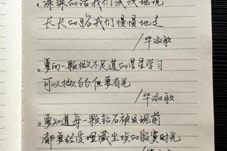 解读《审命记》：生命的启示与智慧