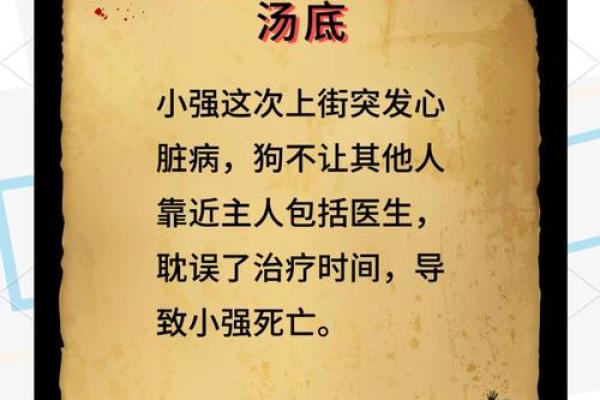 狗狗的忠诚：它们如何成为生命的守护者