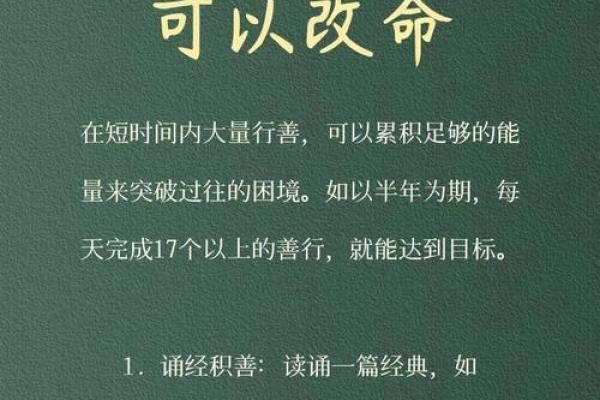 如何选择合适的命理助力，助大林木命者行稳致远