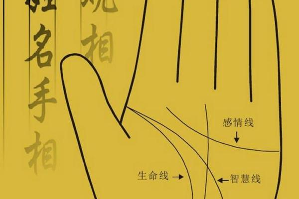 手相纹路揭秘:从掌心看你的人生轨迹与命运走向 手相纹路揭秘:从掌心看你的人生轨迹与命运走向