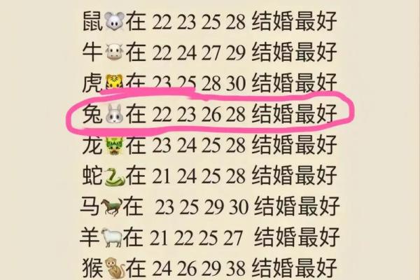 1999年属兔命运解读:寻找你的生活方向与幸福之路 1999年属兔命运解读:寻找你的生活方向与幸福之路