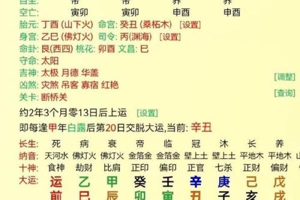 壬子年出生者的五行命理解析与人生启示 壬子年出生者的五行命理解析与人生启示