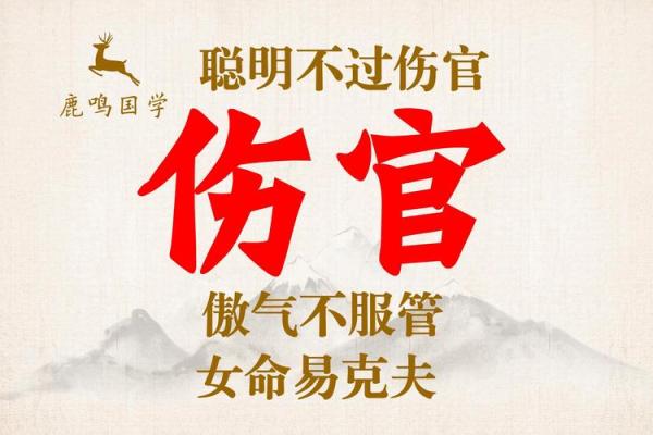 伤官重贵命的奥秘:深入剖析命理中的独特人格魅力 伤官重贵命的奥秘:深入剖析命理中的独特人格魅力