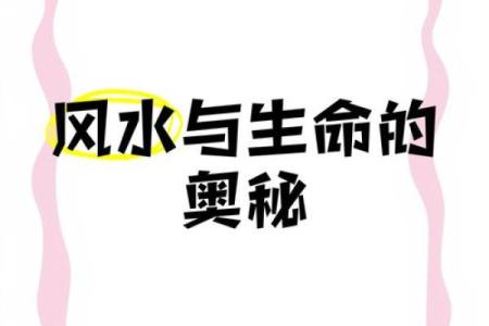 59岁属什么命？生辰八字揭秘生命的奥秘与缘分