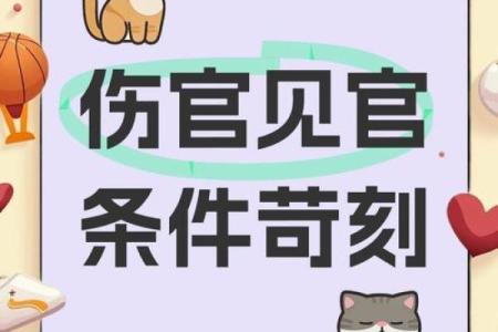 伤官重贵命的奥秘：深入剖析命理中的独特人格魅力