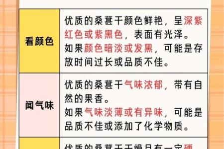 桑葚子干的营养价值与健康功效全解析，让你了解这种天然食品的神奇之处！