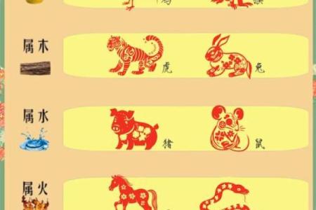 揭开天生鬼命生肖女的神秘面纱，探索命运与性格的奥秘