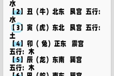 属牛49岁五行分析：解密命理背后的深意与影响