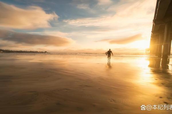 没有自己的命：揭示动物被驯化与人类关系的背影