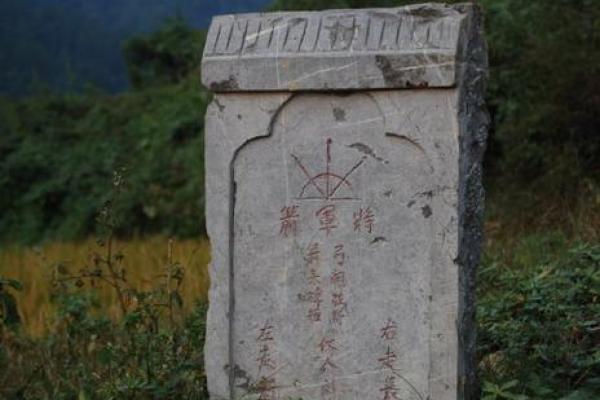 属鸡辰时龙的命理解读:揭开雾霭后的神秘面纱 属鸡辰时龙的命理解读:揭开雾霭后的神秘面纱