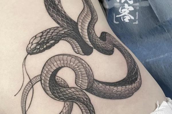 属蛇林木命旺财纹身,助你财运亨通! 属蛇林木命旺财纹身,助你财运亨通!