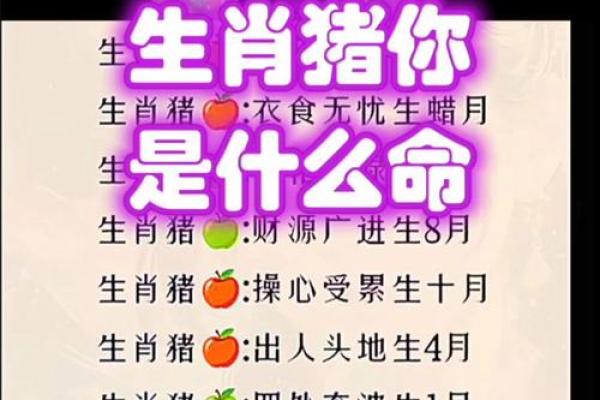 三月出生的猪，揭示你的五行命格与性格特征！