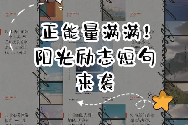 十点钟出生的太阳，照耀命运的光芒