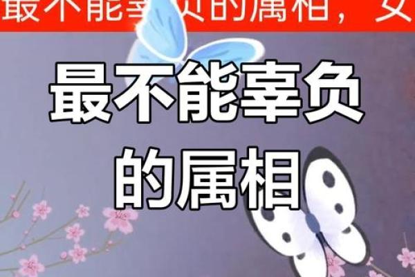 属猴92女命运解析:揭秘她们为何命运多舛 属猴92女命运解析:揭秘她们为何命运多舛