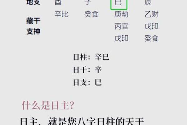 命理学的探秘：从日柱看谁更适合学习命理学