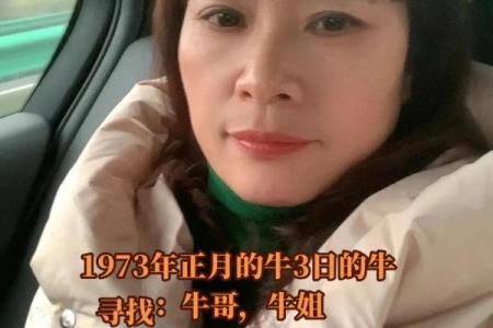 十月出生属牛的命运解析：从性格到运势全方位剖析