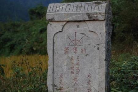 属鸡辰时龙的命理解读：揭开雾霭后的神秘面纱