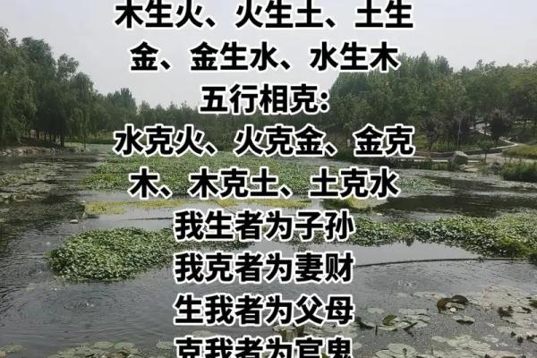 命理相生相克，探讨适合的命局搭配与人生之道