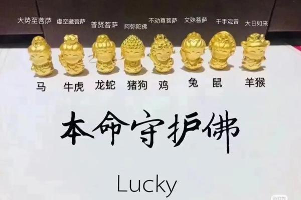 桑枝木命的佩戴选择与风水指导