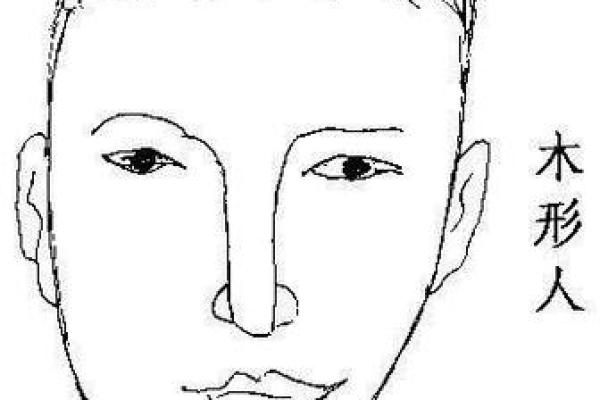 桑枝木命的佩戴选择与风水指导