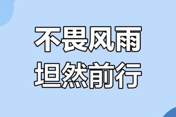 命运与努力的辩证关系：人生无常，何以应对？