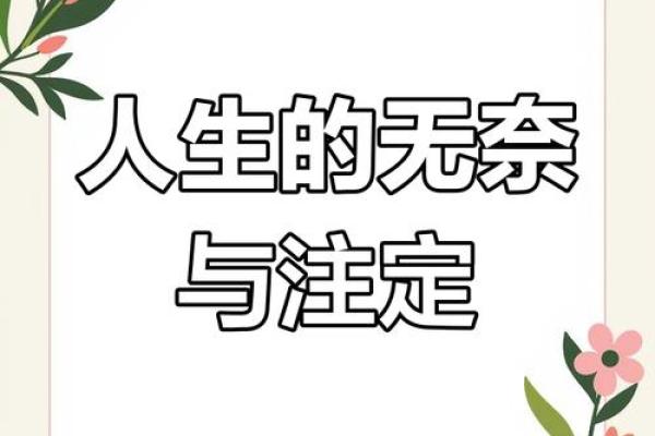 命运与努力的辩证关系：人生无常，何以应对？