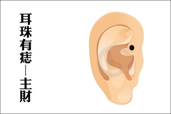揭示耳型的秘密:如何通过耳朵识别富贵命与人生运势 揭示耳型的秘密:如何通过耳朵识别富贵命与人生运势
