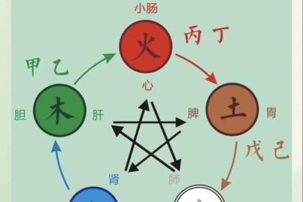 金与木的相克关系：透视金命如何克制大林木命的奥秘