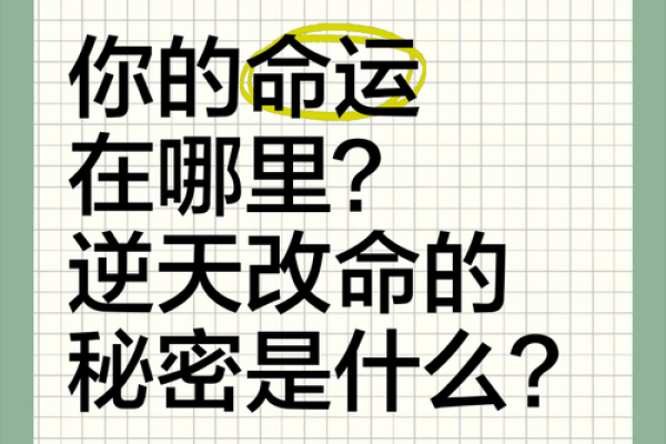 命字的含义与人生之路：解密命运与选择的奥秘