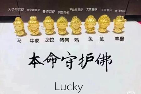 桑枝木命的佩戴选择与风水指导