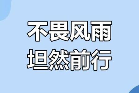 命运与努力的辩证关系：人生无常，何以应对？