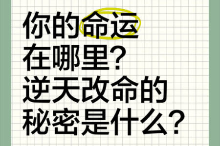 命字的含义与人生之路：解密命运与选择的奥秘