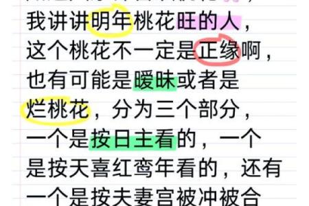 壬子日主男命桃花运的秘密与对策分析