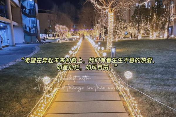 命理与井泉水：探索生生不息的命运之源