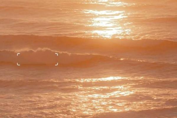 壬寅年金水旺之人：命运、个性与机会探析