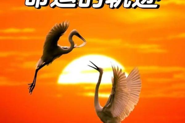 什么样的命理注定出家?探索与命运的神秘交织 什么样的命理注定出家?探索与命运的神秘交织