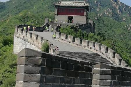 男孩唱午之鸡，命运与运势的探究之旅