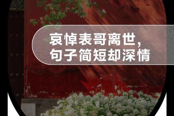 命运的无常：如何面对丧子之痛的挑战与思考