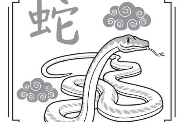 解密女命正印：生肖与年龄的奇妙联系