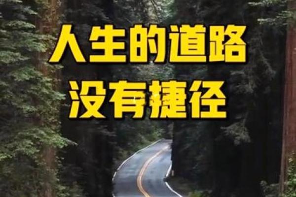 马年八月初三男命解析：命理与人生之路的启示