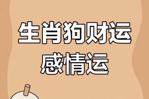 属狗者十月一号命理分析：探索你的运势与精彩人生