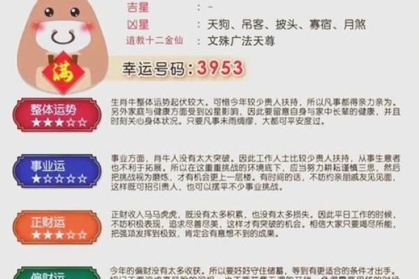 揭秘日柱己亥：探寻你命格中的独特魅力与人生机遇