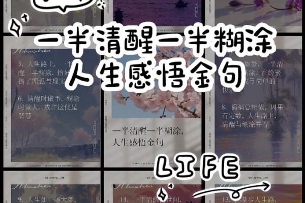 清醒人生:追寻内心真实与平衡的最佳路径 清醒人生:追寻内心真实与平衡的最佳路径