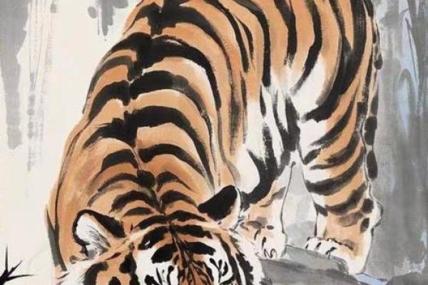 属虎男生命中最强的幸运元素与人生指南 属虎男生命中最强的幸运元素与人生指南