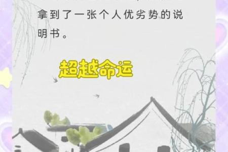 男孩手肥厚的命理揭秘：一双厚实的手藏着什么人生智慧？