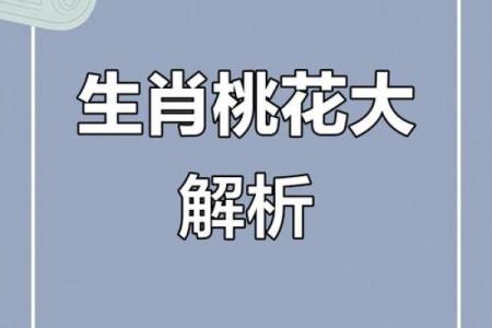 解密女命正印：生肖与年龄的奇妙联系