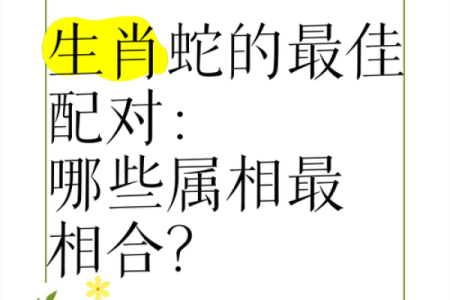 蛇命配什么命最不好？揭示最不合的生肖组合