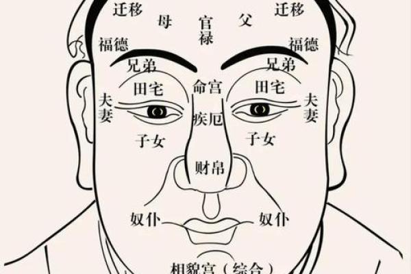 男命女命的命宫解析:揭示命运背后的秘密与智慧 男命女命的命宫解析:揭示命运背后的秘密与智慧