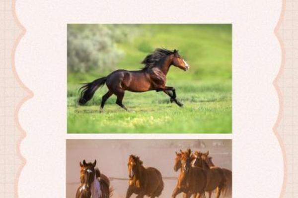 流转于天河的命理之美：揭示天河水命的神秘与智慧