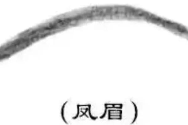 男命眉起角的深刻象征及其人生启示 男命眉起角的深刻象征及其人生启示